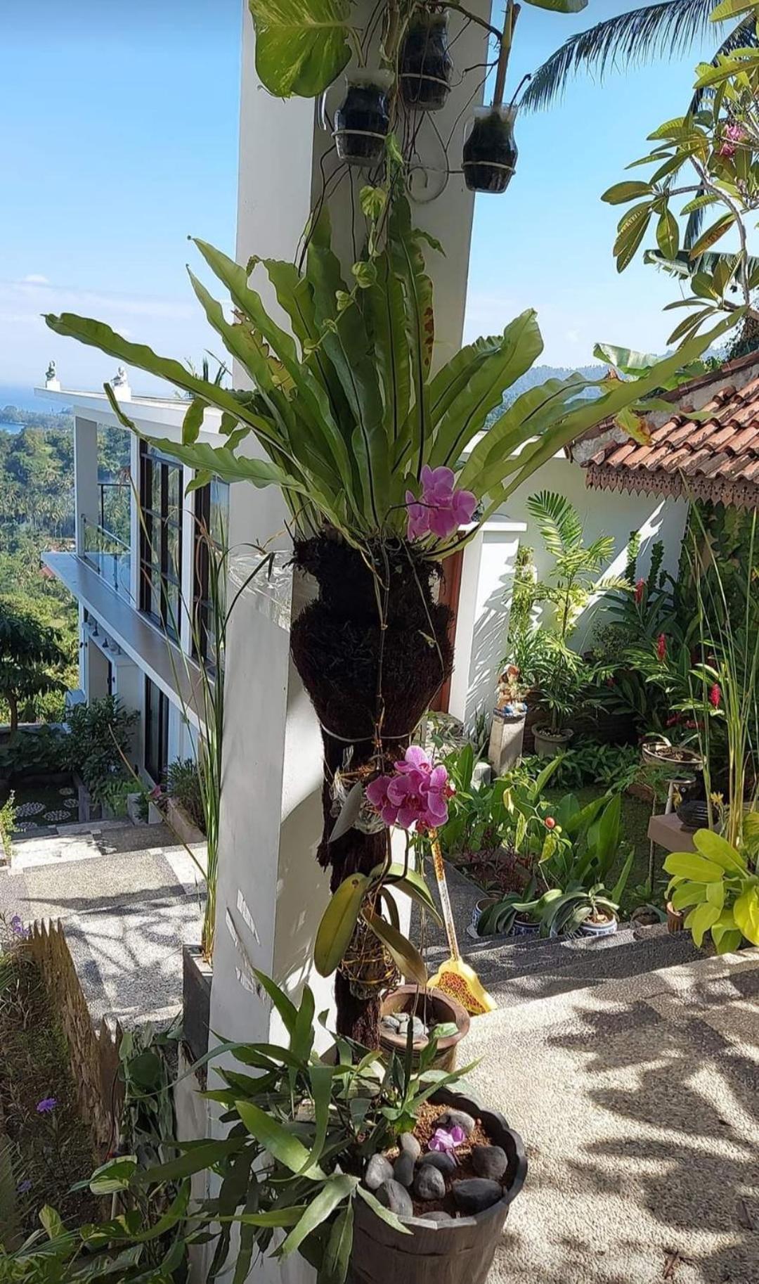 Villa Aryaguna Senggigi Pokoj fotografie